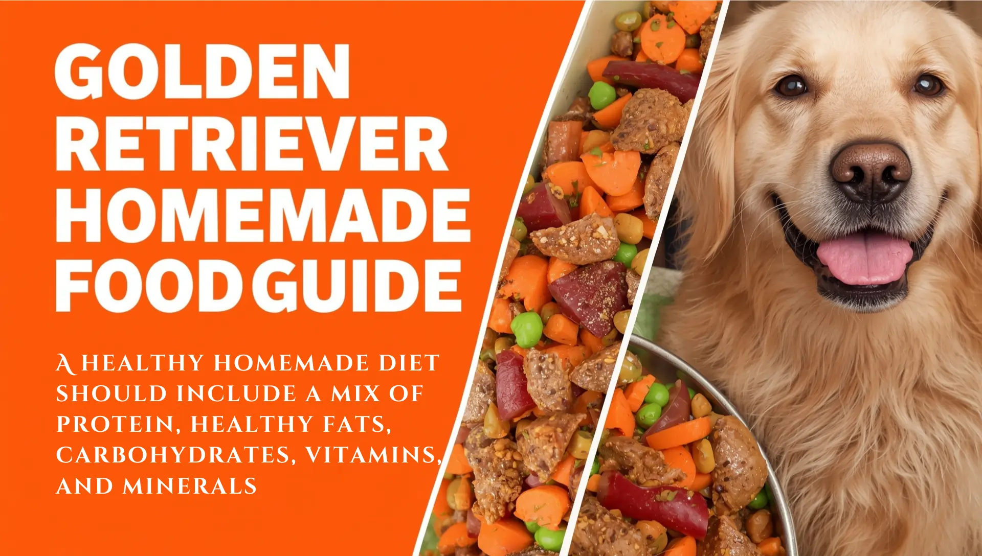 Golden Randy Food Homemade Dog Food for Golden Retrievers | Complete Guide