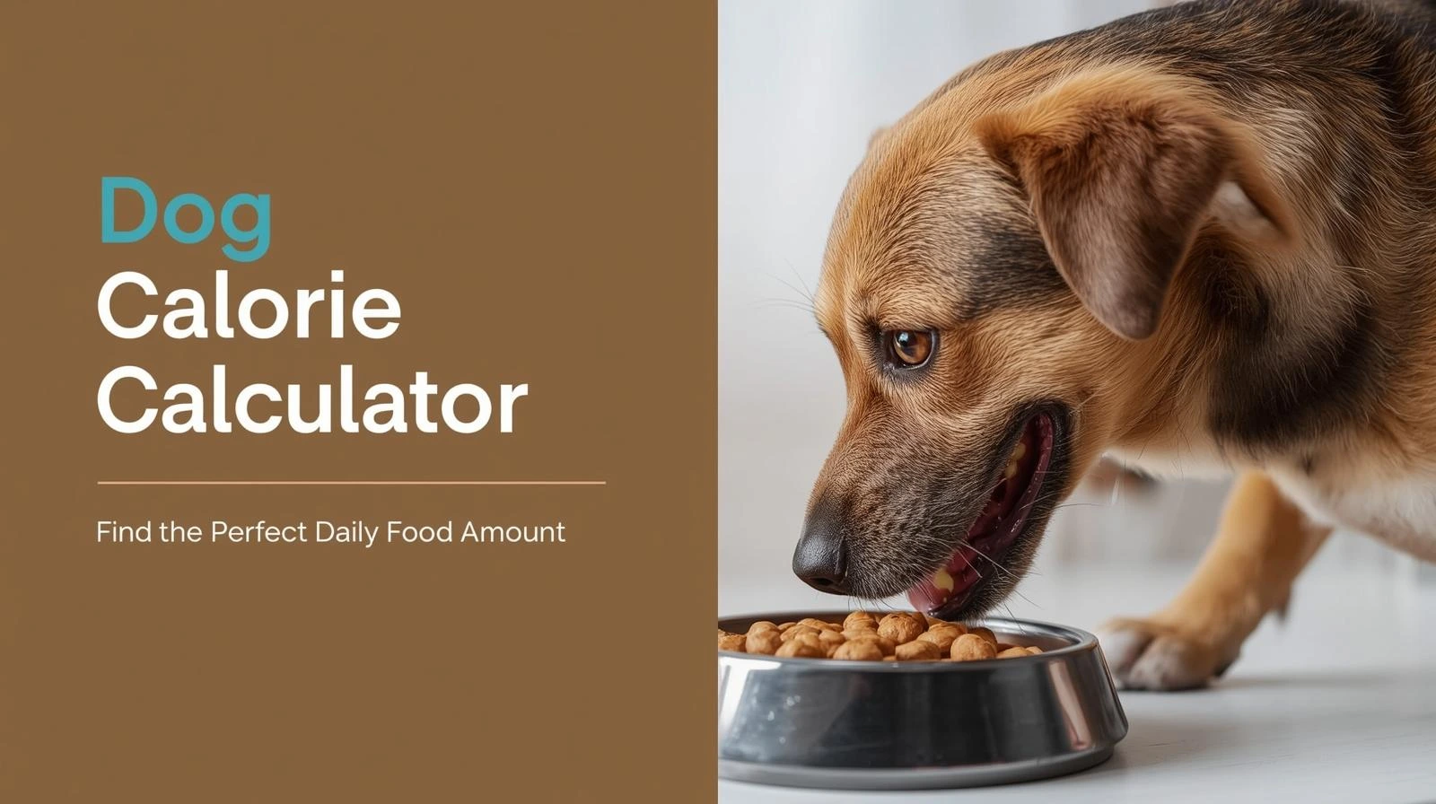 Image showcasing Dog Calorie Calculator | Daily Needs for Dogs